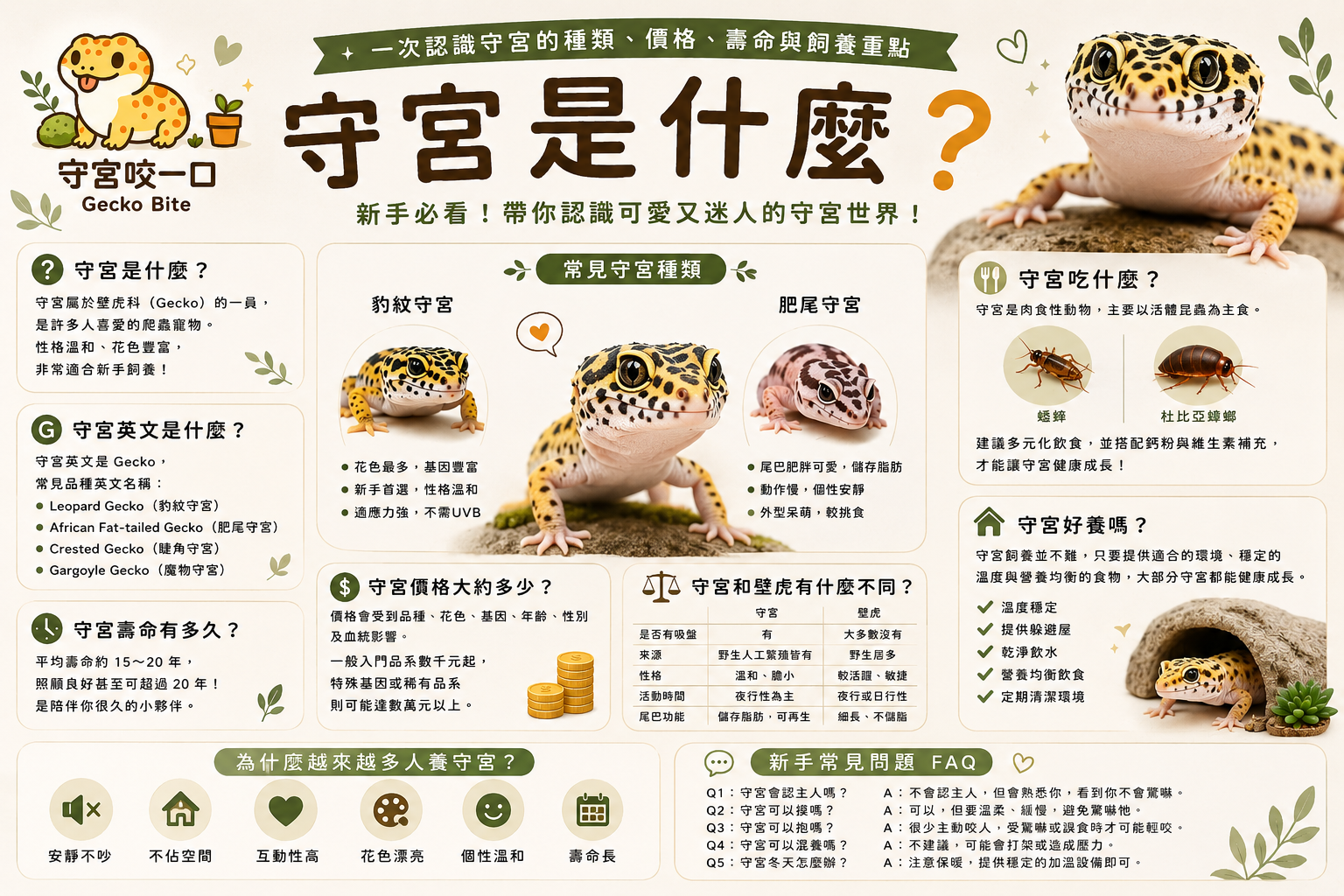 守宮是什麼？一次認識守宮種類、價格、壽命、壁虎差別與英文介紹